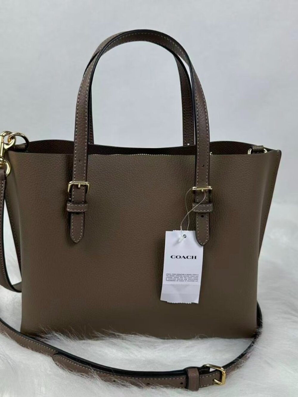 Coach Mollie Tote Bag 25 Crossbody In Leather/Gold/Dark Stone CV966 NWT - Picture 3 of 9